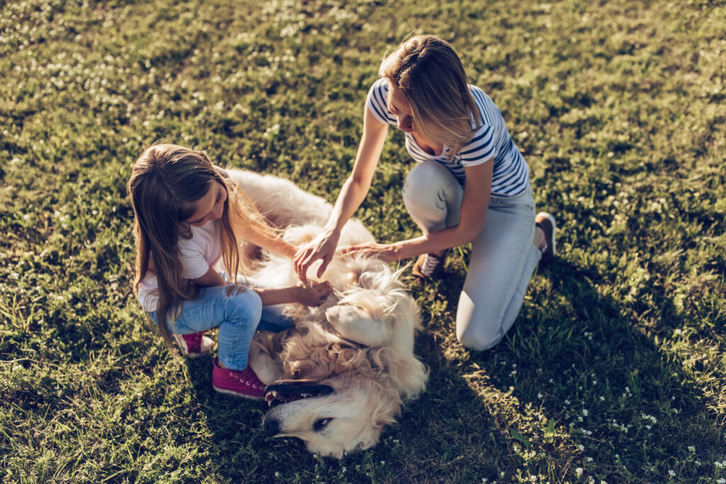 Tender reunion moment between a girl, mom and her beloved dog after a safe and caring journey with US pet transport services. Explore our blog for heartwarming stories and insights on pet reunions and travel experiences.